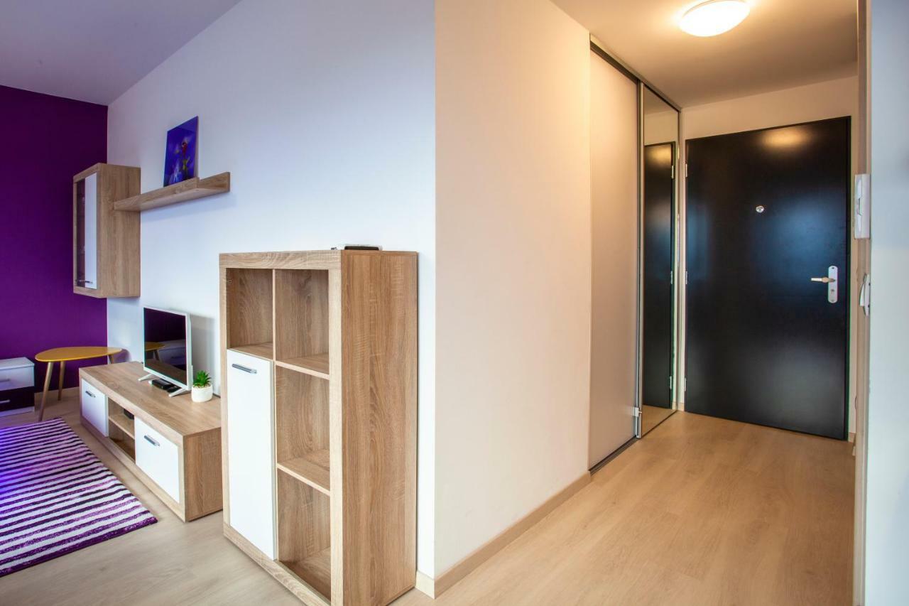 Air-Conditioned City View Apartment 24H Check-In 布拉迪斯拉发 外观 照片